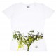 T-shirt "The wise tree" 100% cotton, made in Italy