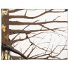 Placemat "Brown tree", 100% cotton, made in Italy, 2pk.